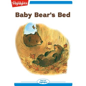 Baby Bear's Bed