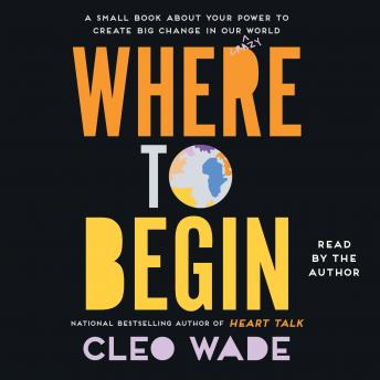 Where to Begin: A Small Book About Your Power to Create Big Change in Our Crazy World