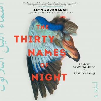 Thirty Names of Night: A Novel, Audio book by Zeyn Joukhadar