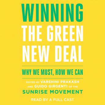 Winning the Green New Deal: Why We Must, How We Can