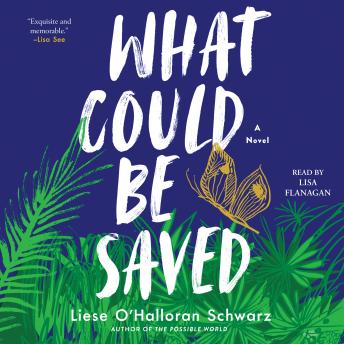 What Could Be Saved: A Novel