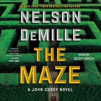 Maze, Audio book by Nelson Demille