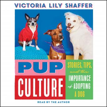 Pup Culture: Stories, Tips, and the Importance of Adopting a Dog