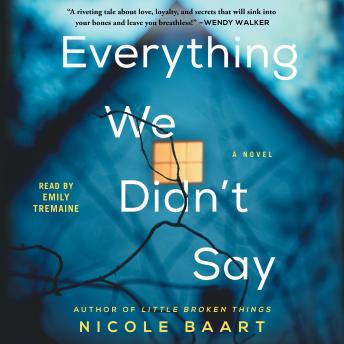 Everything We Didn't Say: A Novel, Nicole Baart
