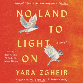 No Land to Light On: A Novel sample.