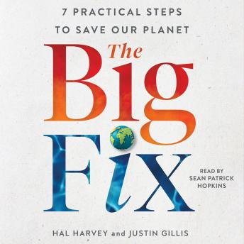The Big Fix: Seven Practical Steps to Save our Planet
