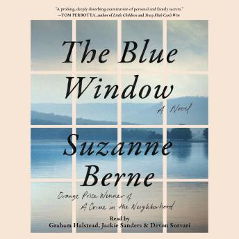 The Blue Window: A Novel