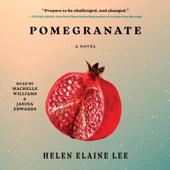 Pomegranate: A Novel sample.