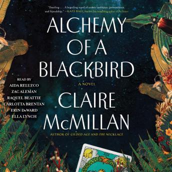 Alchemy of a Blackbird: A Novel