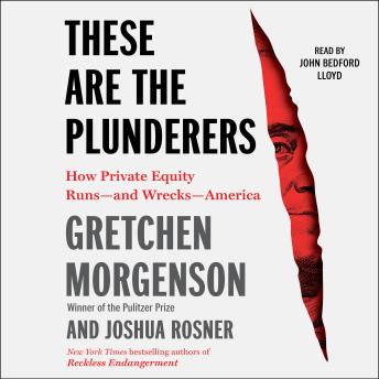 These are the Plunderers: How Private Equity Runs—and Wrecks—America sample.