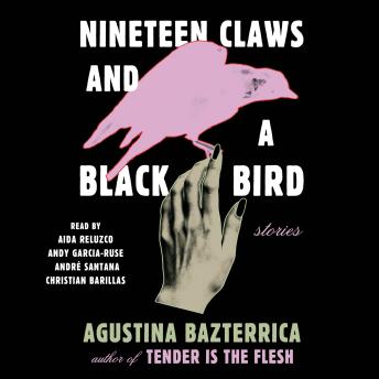 Nineteen Claws and a Black Bird: Stories