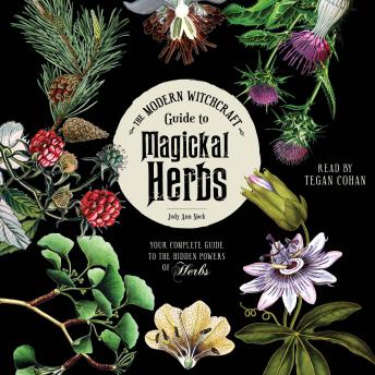 Download Modern Witchcraft Guide to Magickal Herbs: Your Complete Guide to the Hidden Powers of Herbs by Judy Ann Nock