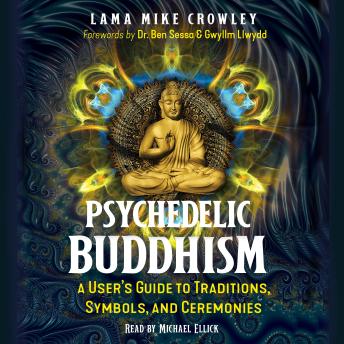 Psychedelic Buddhism: A User's Guide to Traditions, Symbols, and Ceremonies
