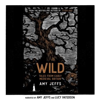 Download Wild: Tales from Early Medieval Britain by Amy Jeffs