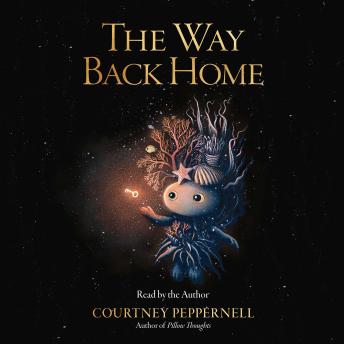 The Way Back Home
