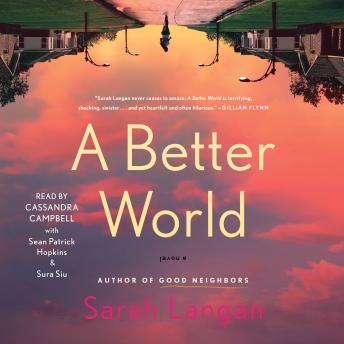A Better World: A Novel