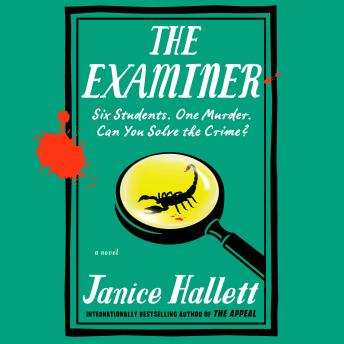 The Examiner: A Novel