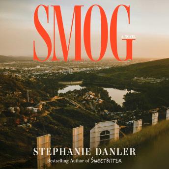 Smog: A Novel