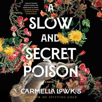 A Slow and Secret Poison: A Novel