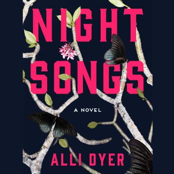Night Songs: A Novel