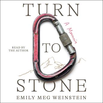 Turn to Stone: A Memoir