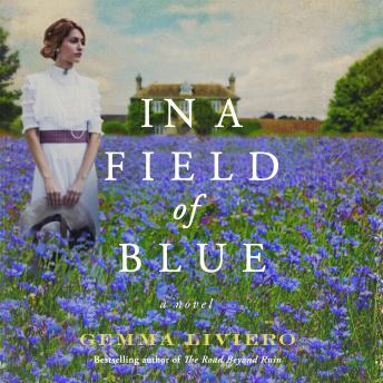 In a Field of Blue: A Novel
