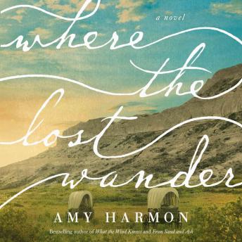 Where the Lost Wander: A Novel