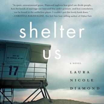 Shelter Us: A Novel
