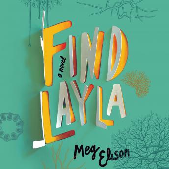 Find Layla: A Novel