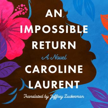 An Impossible Return: A Novel