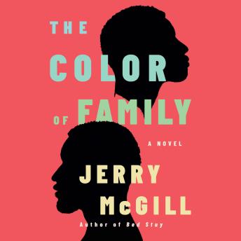 The Color of Family: A Novel