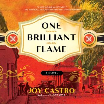 One Brilliant Flame: A Novel