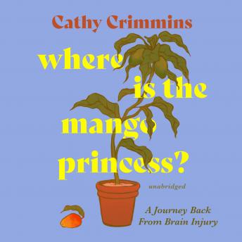 Where Is the Mango Princess?: A Journey Back from Brain Injury