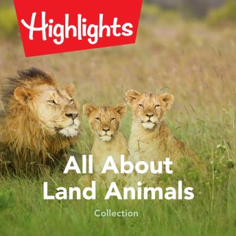 All About Land Animals Collection