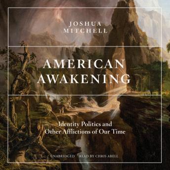 Download American Awakening: Identity Politics and Other Afflictions of Our Time by Joshua Mitchell