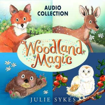 Woodland Magic Audio Collection: Fox Cub Rescue, Deer in Danger, The Stranded Otter, Operation Owl