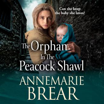 The Orphan in the Peacock Shawl - A gripping historical novel from AnneMarie Brear (Unabridged)