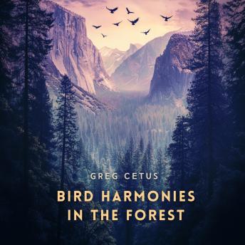 Bird Harmonies in the Forest: Nature's Sounds for Peace and Mindfulness