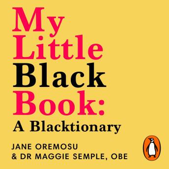 My Little Black Book: A Blacktionary: The pocket guide to the language of race
