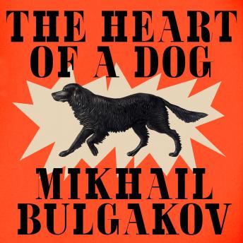 The Heart of a Dog