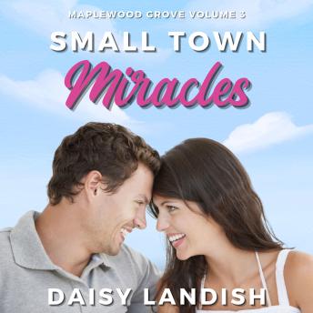 Small Town Miracles: A Collection of Cozy Mysteries