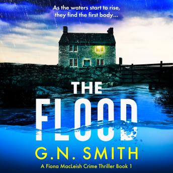 The Flood: A totally unputdownable crime novel