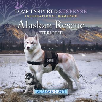 Download Alaskan Rescue by Terri Reed
