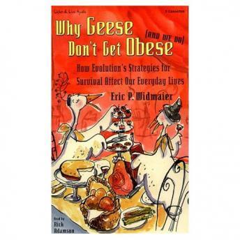 Download Why Geese Don't Get Obese (and We Do): How Evolution's Strategies for Survival Affect Our Everyday Lives by Eric P. Widmaier