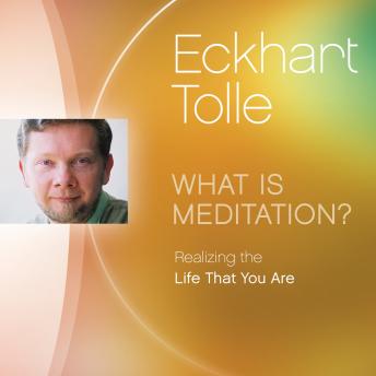 What Is Meditation?: Realizing the Life That You Are