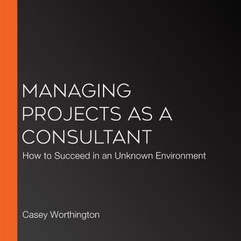 Managing Projects as a Consultant: How to Succeed in an Unknown Environment