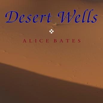 Desert Wells