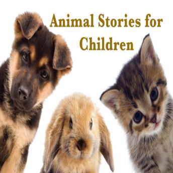 Animal Stories for Children