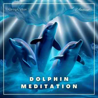 Dolphin Meditation: Relax With Dolphins and Ocean Waves