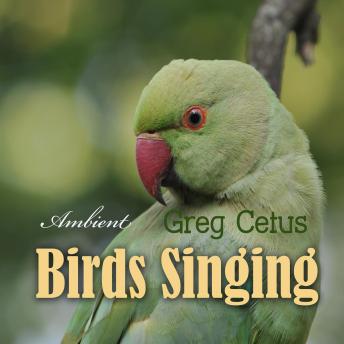Birds Singing: Ambient Sound for Mindful State